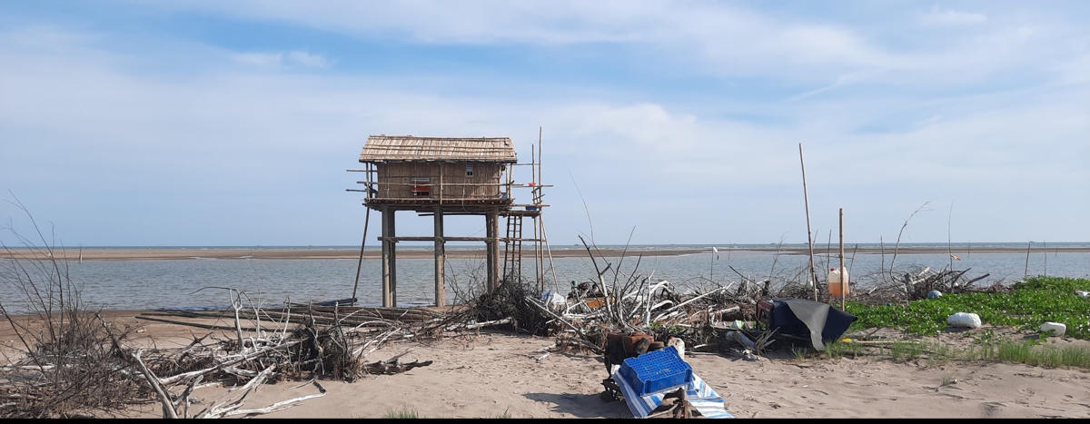 Một chiếc chòi mới được phát hiện được dựng lên trong Vườn.