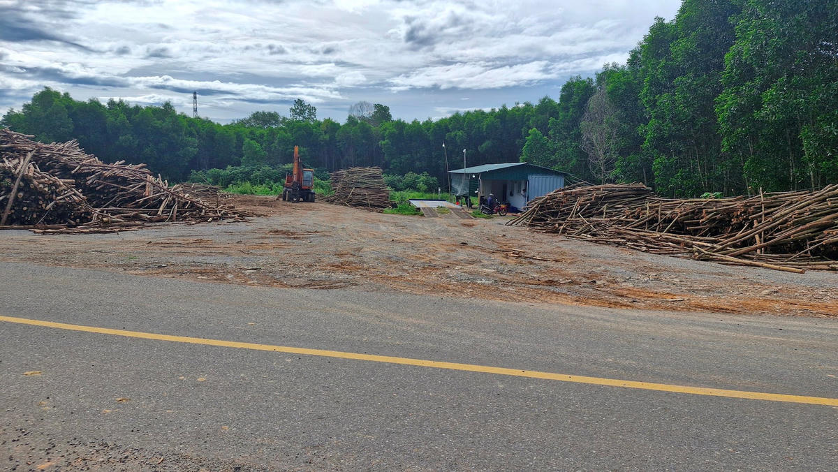 Trạm cân điện tử đặt trên thửa đất của gia đình ông Hải. Ảnh: Đỗ Văn.