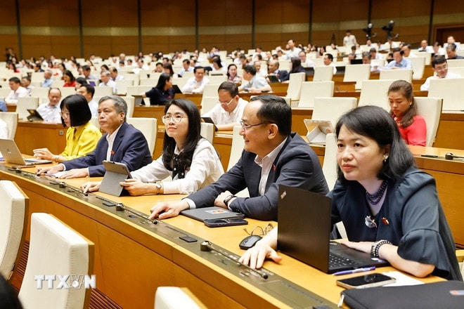 ttxvn-1406-quoc-hoi-bieu-quyet-luat-2.jpg