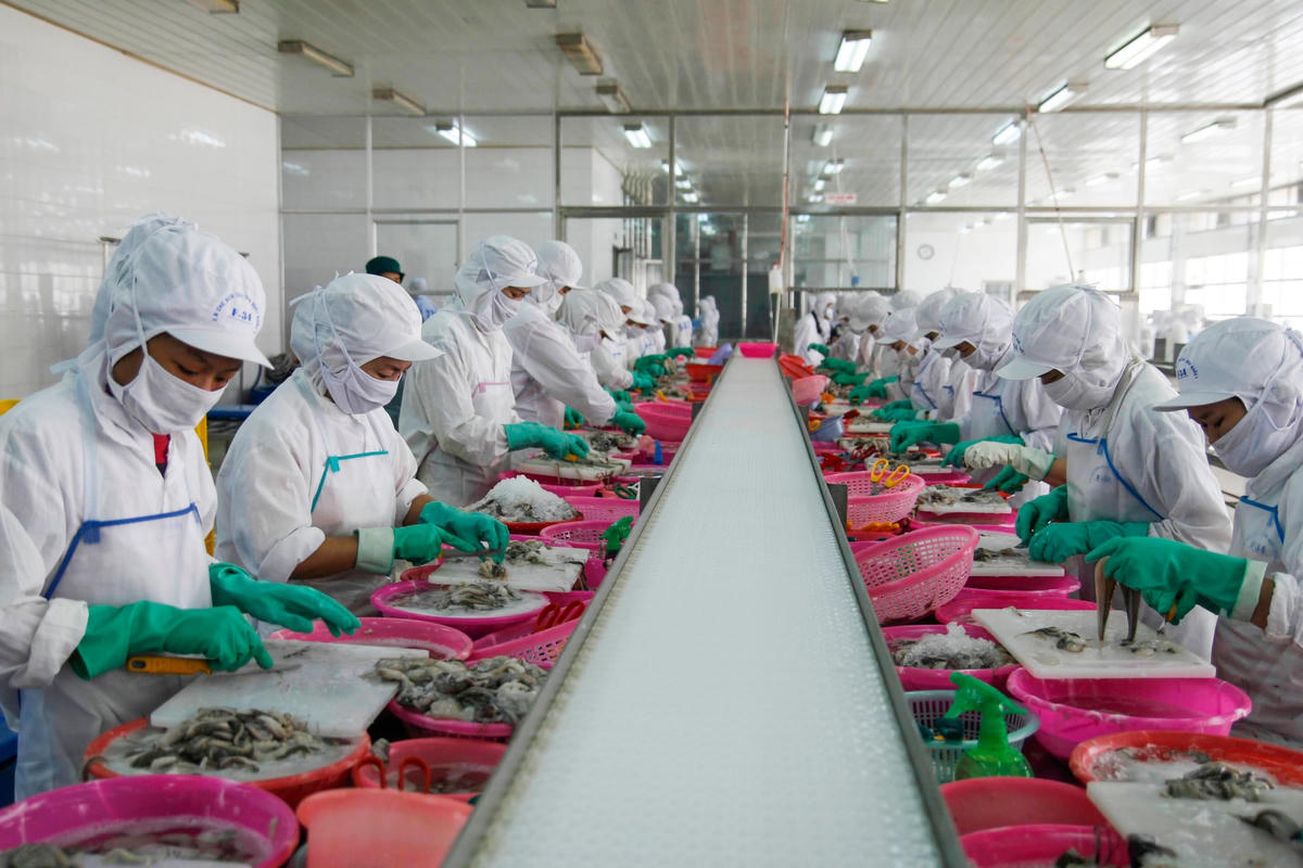 Dự báo ngành thủy sản xuất khẩu sẽ khởi sắc những tháng cuối năm. Ảnh: Quang Vinh.