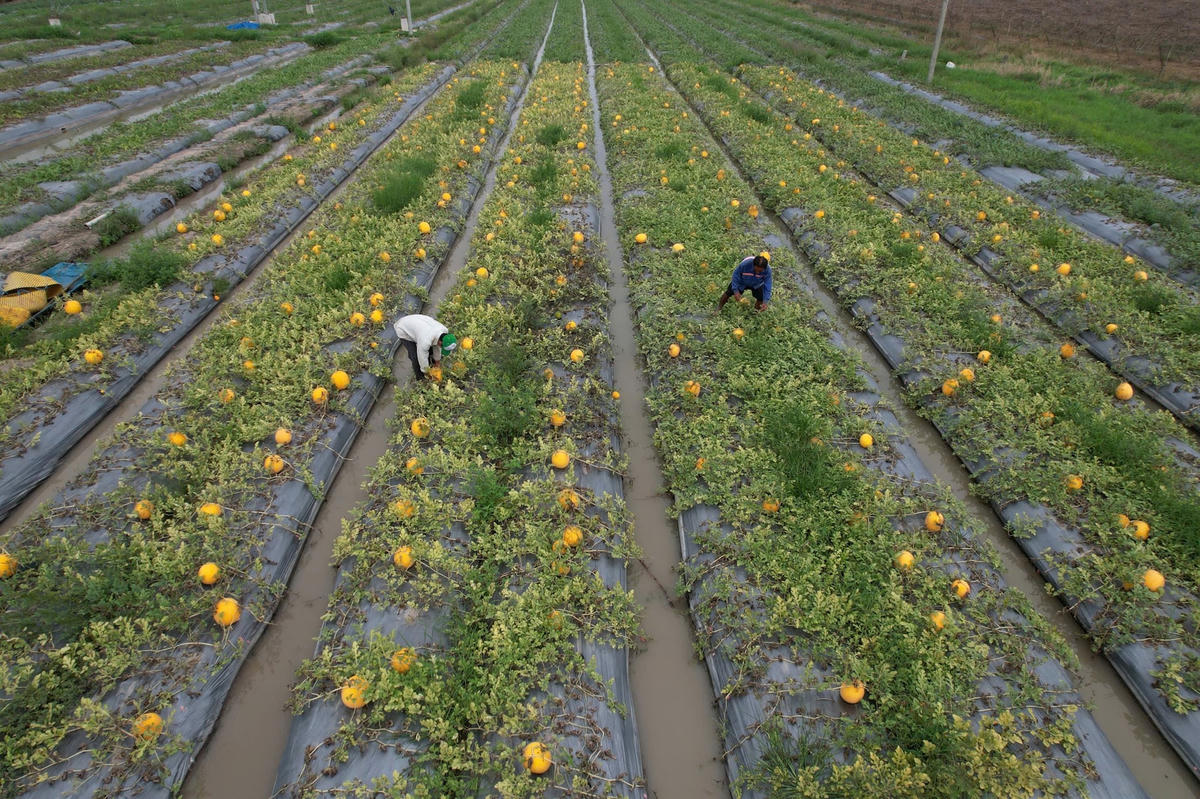 z6255629270492_d6a1a7ae9191a0eb098211c955c51066.jpg