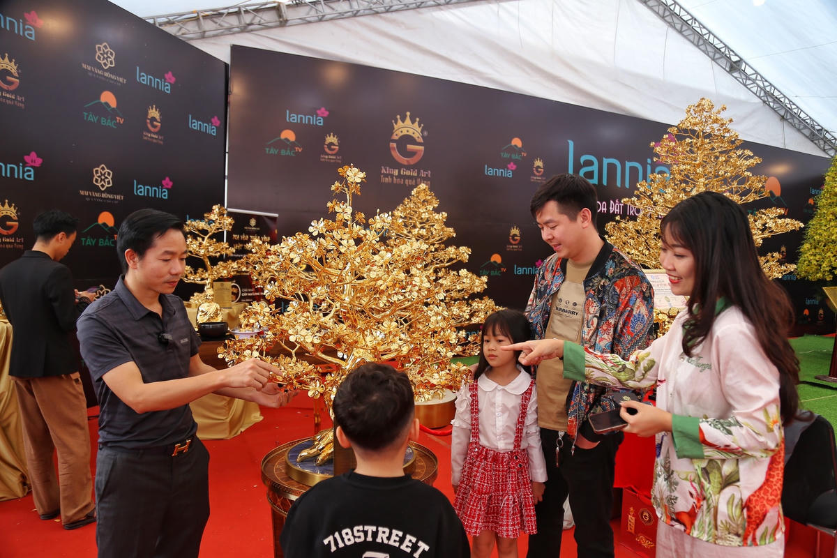Không chỉ có cây mai mạ vàng có trị giá gần 6 tỷ đồng mà những cây mai mạ vàng nhỏ cũng xuất hiện đề phù hợp với nhu cầu của người mua.