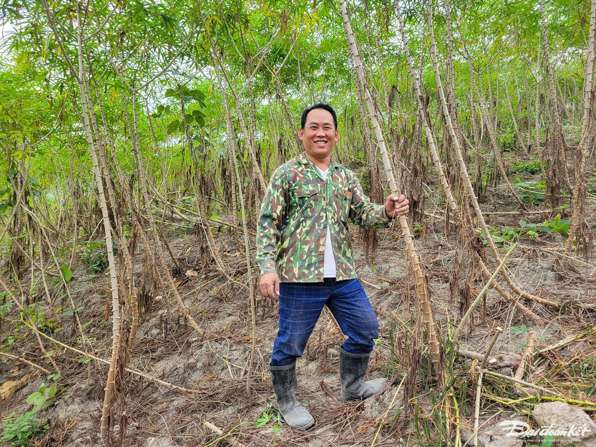Là một trong những hộ 1 Ngân Văn Tịnh được biết đến là hộ trồng nhiều sắn nhất bản với 10 ha làm sắn. Với giá bán hiện nay là gần 2.000 đồng/kg sắn tươi, sau khi thu hoạch hết sắn trên nương rẫy, anh Tịnh nhẩm tính có thể thu về hàng trăm triệu đồng từ loại cây này, đánh dấu “thắng lợi lớn” trong vụ mùa năm nay.