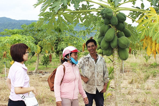 Chính sách cho vay vốn ưu đãi đã giúp nhiều hộ nghèo, đầu tư phát triển kinh tế tại địa phương.