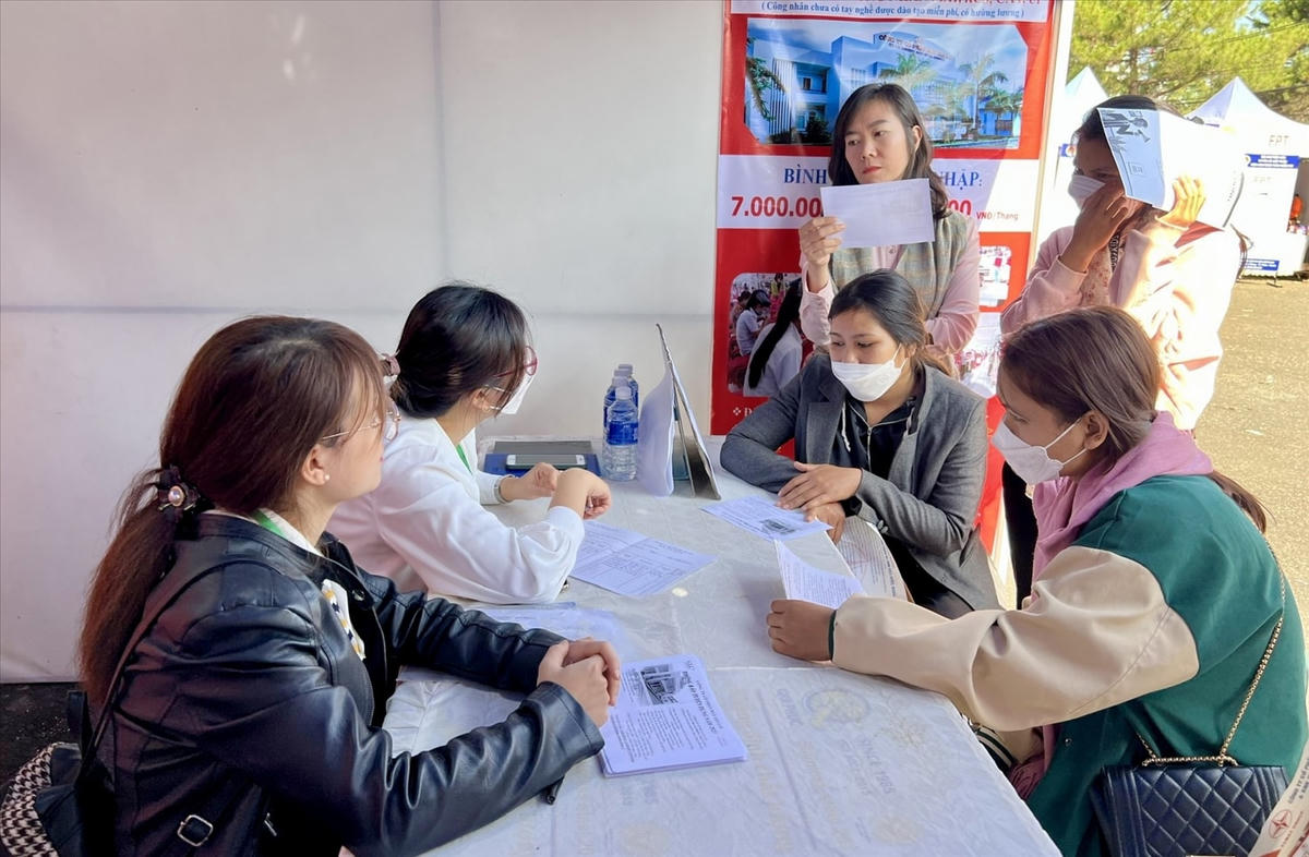 Tư vấn việc làm cho người dân địa phương.