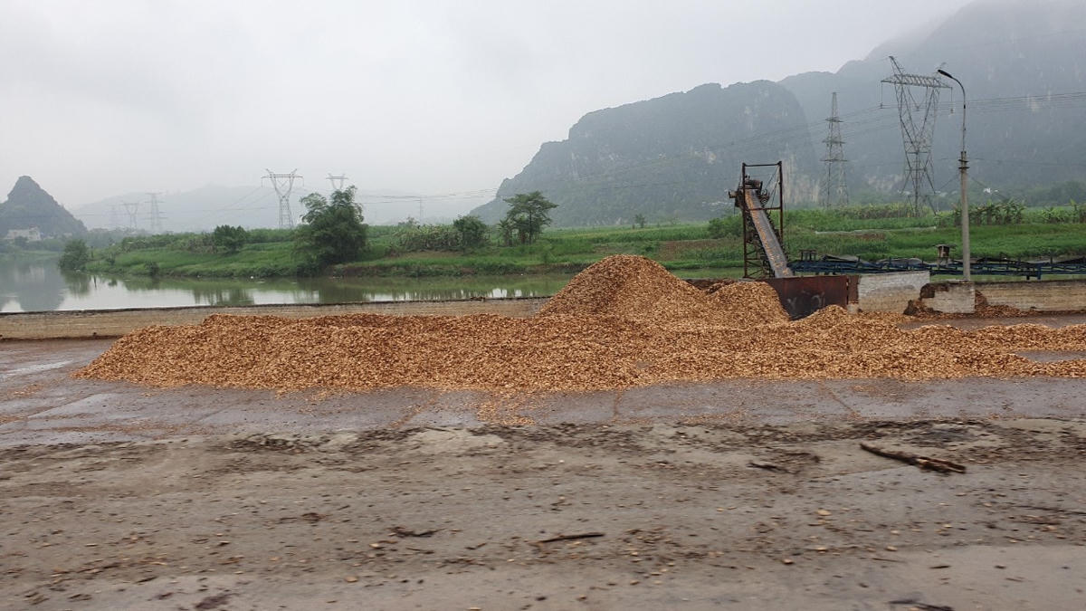 Bãi dăm gỗ của Công ty Phú Hưng Lạc Thủy tập kết sát dòng sông Bôi để chờ vận chuyển đi.