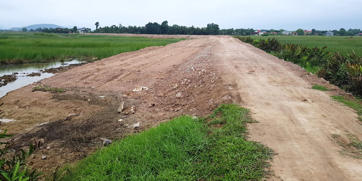 Một đoạn đê Ngọc Lẫm.