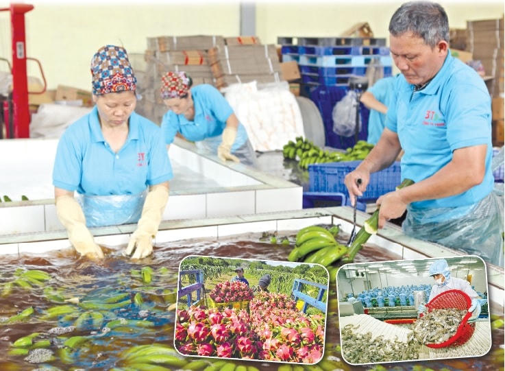 Nhiều mặt hàng xuất khẩu đã có sự tăng trưởng rõ nét. Ảnh: Quang Vinh.