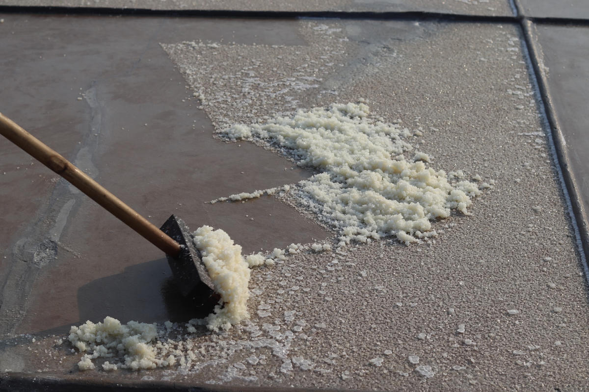 Những ô muối tinh khiết, trong veo được gom lại trên những khoảnh sân.