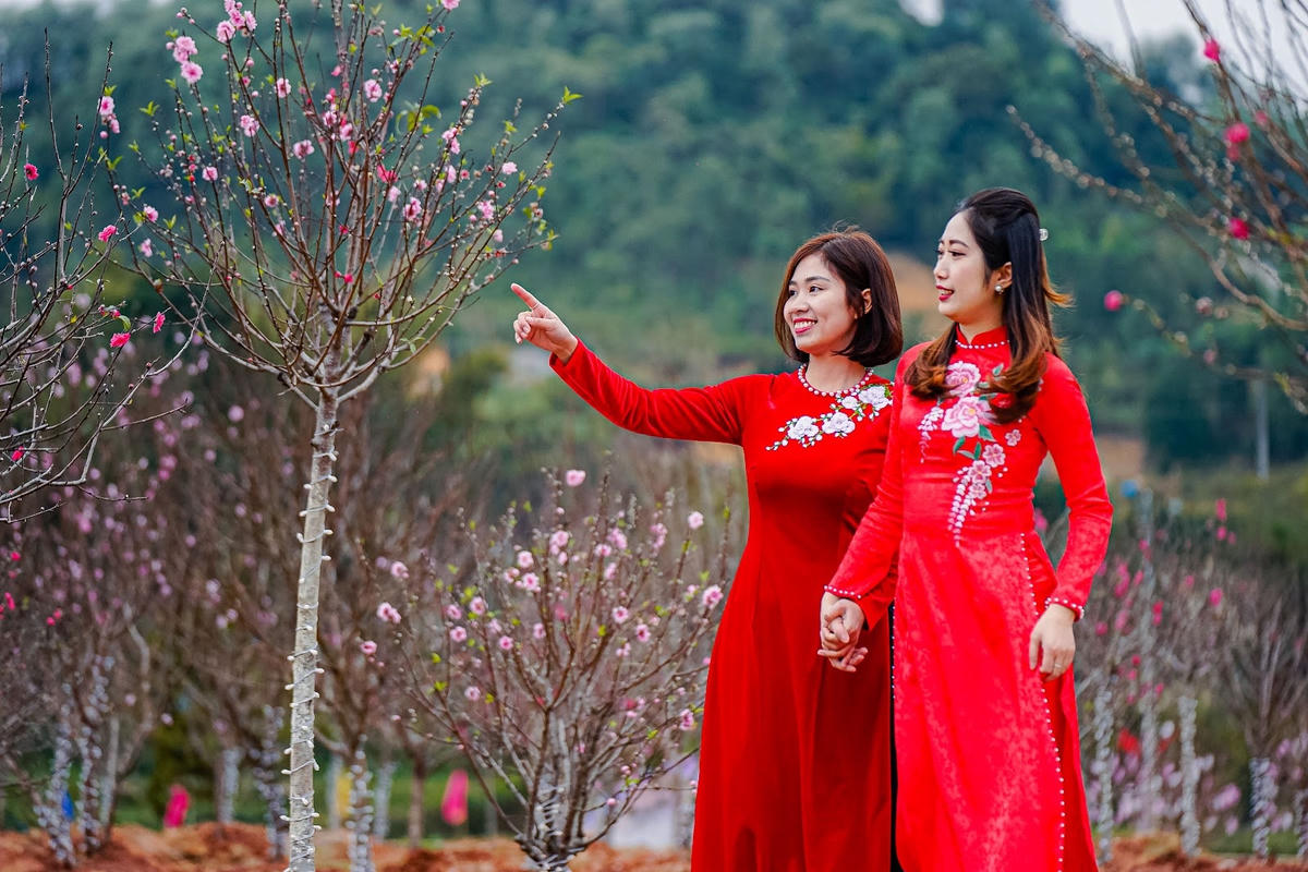 Chụp ảnh với hoa đào vào mùa Xuân. Ảnh minh họa.