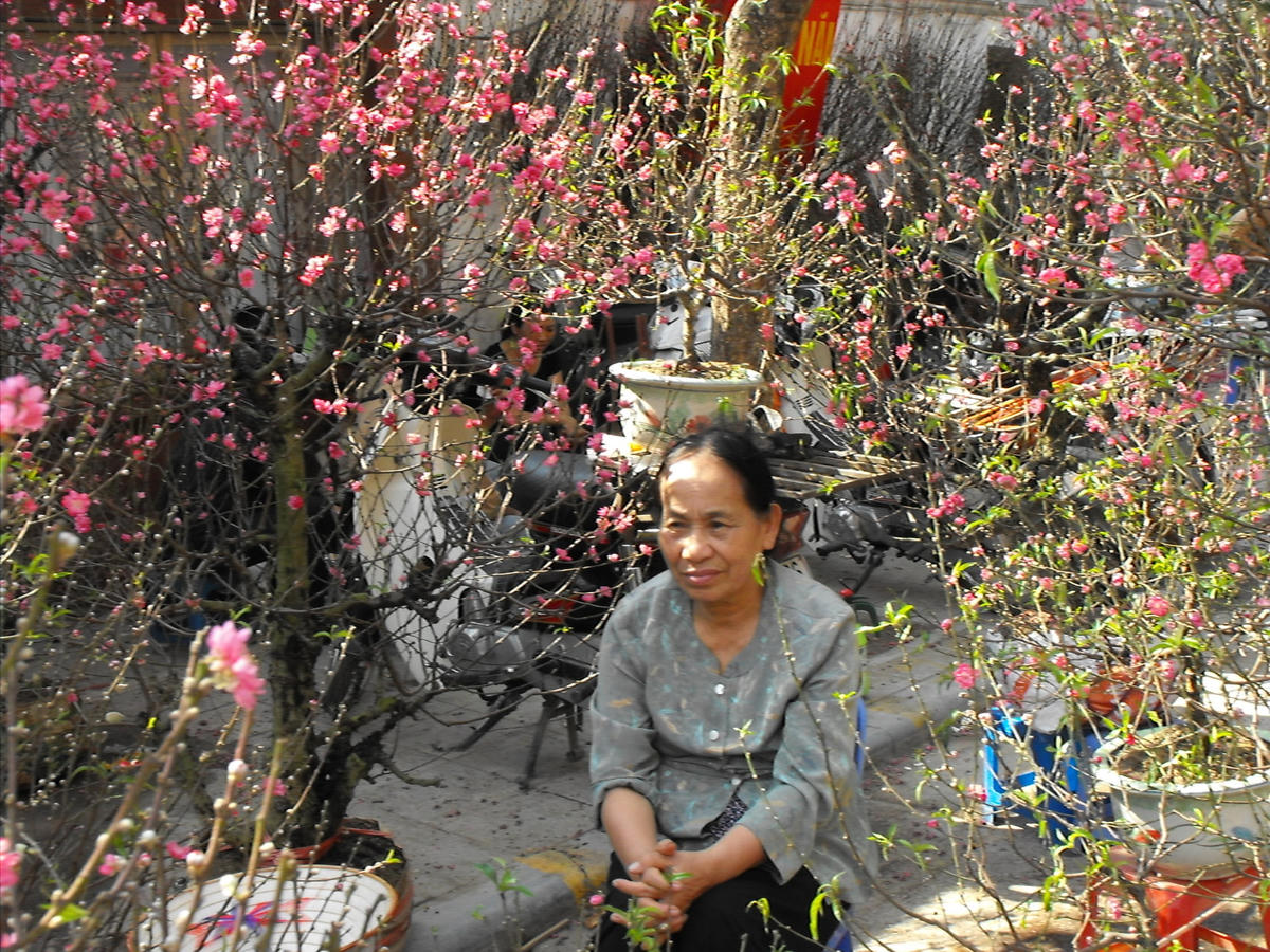 Chợ hoa ngày Tết. Ảnh: Việt Khánh.  