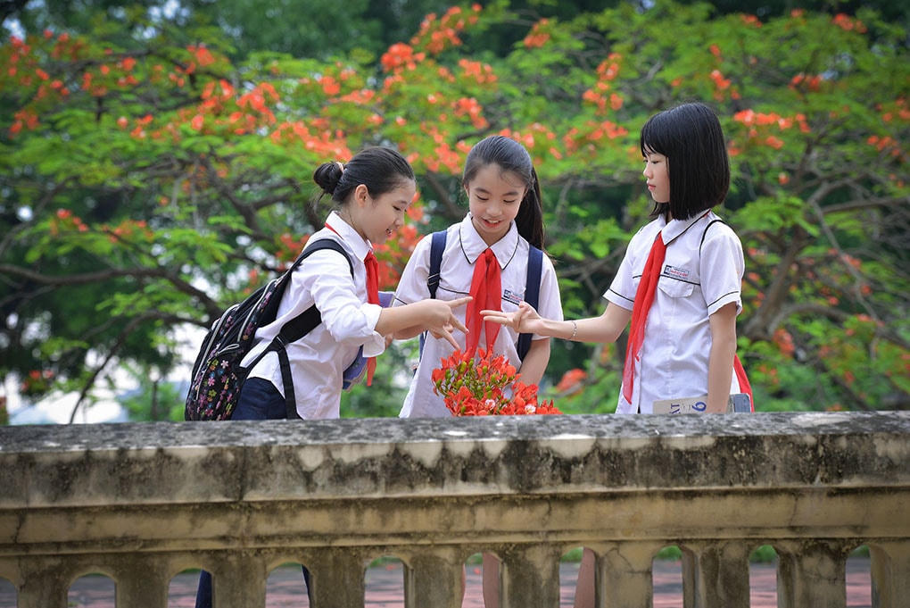 Tình bạn dựa trên sự đơn giản và thuần khiết. Ảnh minh họa.  