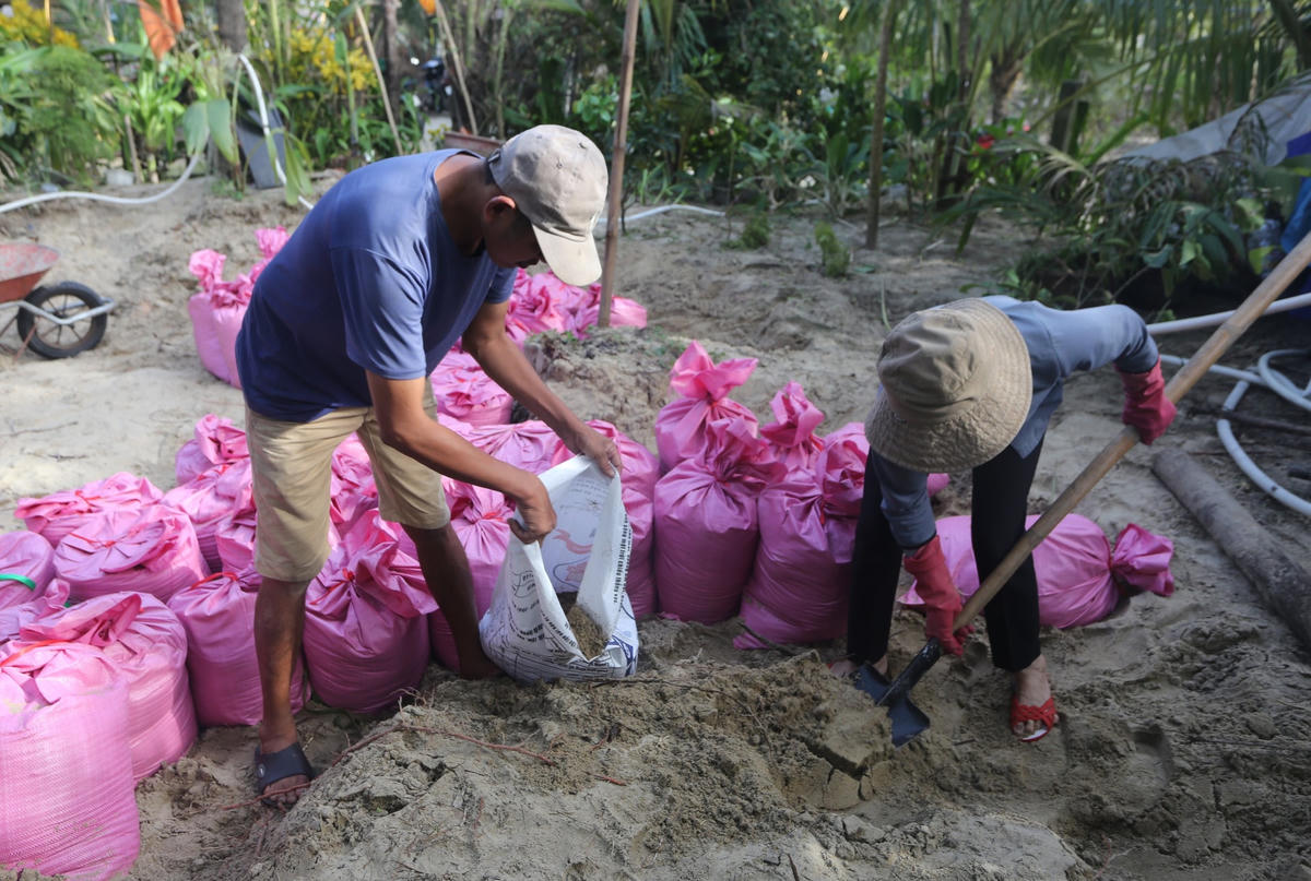 Người dân xúc cát bỏ vào bao để gia cố bờ biển sạt lở.