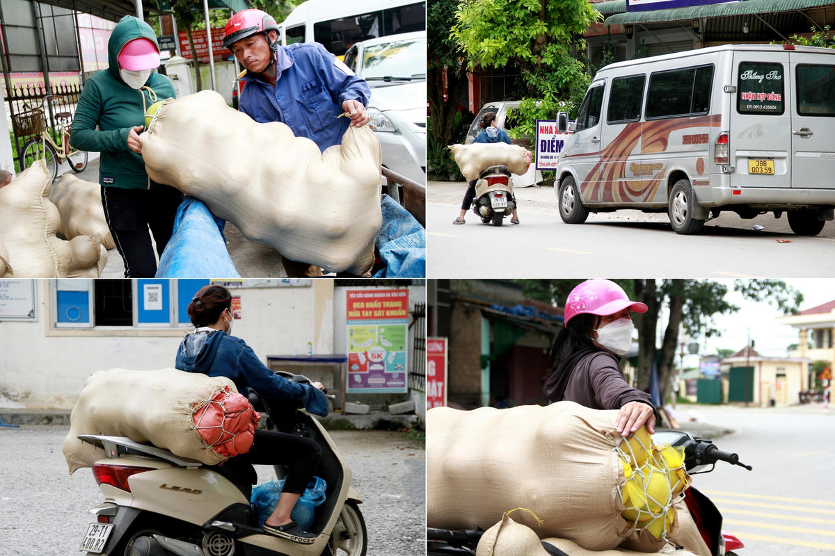 Vào tất cả các thời gian trong ngày, những ai có mặt tại thị trấn Hương Khê đều có thể chứng kiến cảnh người dân hoặc thương lái dùng xe máy và ôtô chở những bao tải đựng bưởi ra chợ để bán. Ngoài bán trên địa bàn, bưởi Phúc Trạch còn được tiêu thụ tại nhiều tỉnh thành trong cả nước.