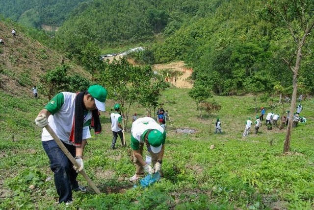 Ngành lâm học của nhiều trường đại học khó tuyển sinh đủ chỉ tiêu.