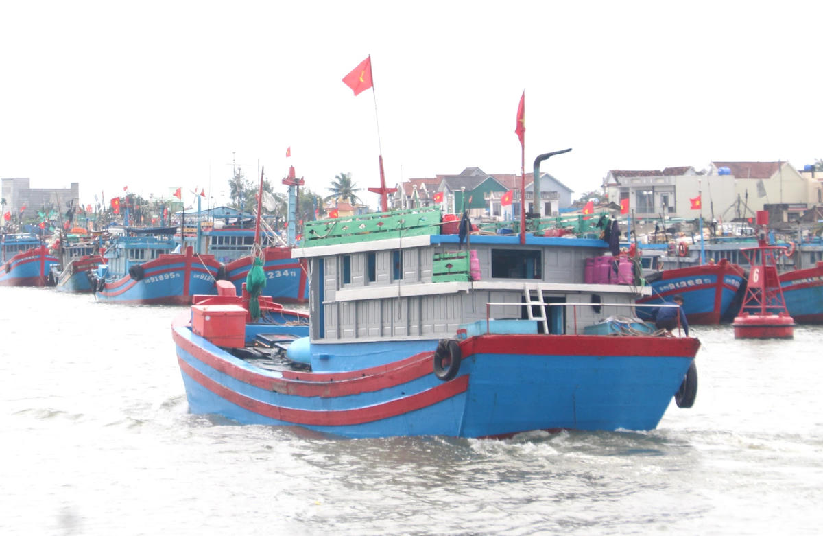 Các tàu cá Quảng Ngãi đang vươn khơi. 