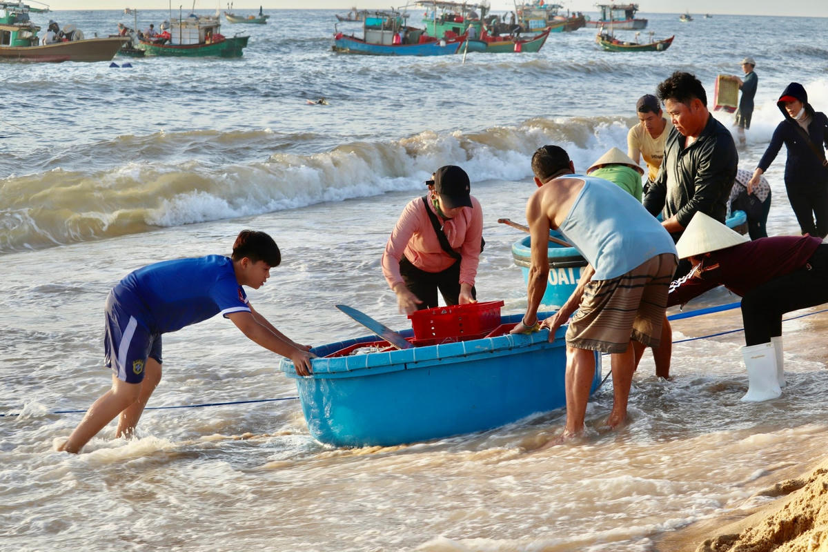 Ngư dân thường xuất phát từ lúc 1h sáng và về bờ từ 6 - 7h sáng trong ngày để kịp bán cá tươi.