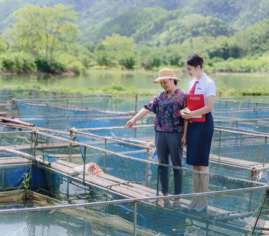 Các mô hình chương trình tín dụng ưu đãi phục vụ “Nông nghiệp sạch” của Agribank đã tạo sự đồng thuận cao giữa doanh nghiệp và người dân