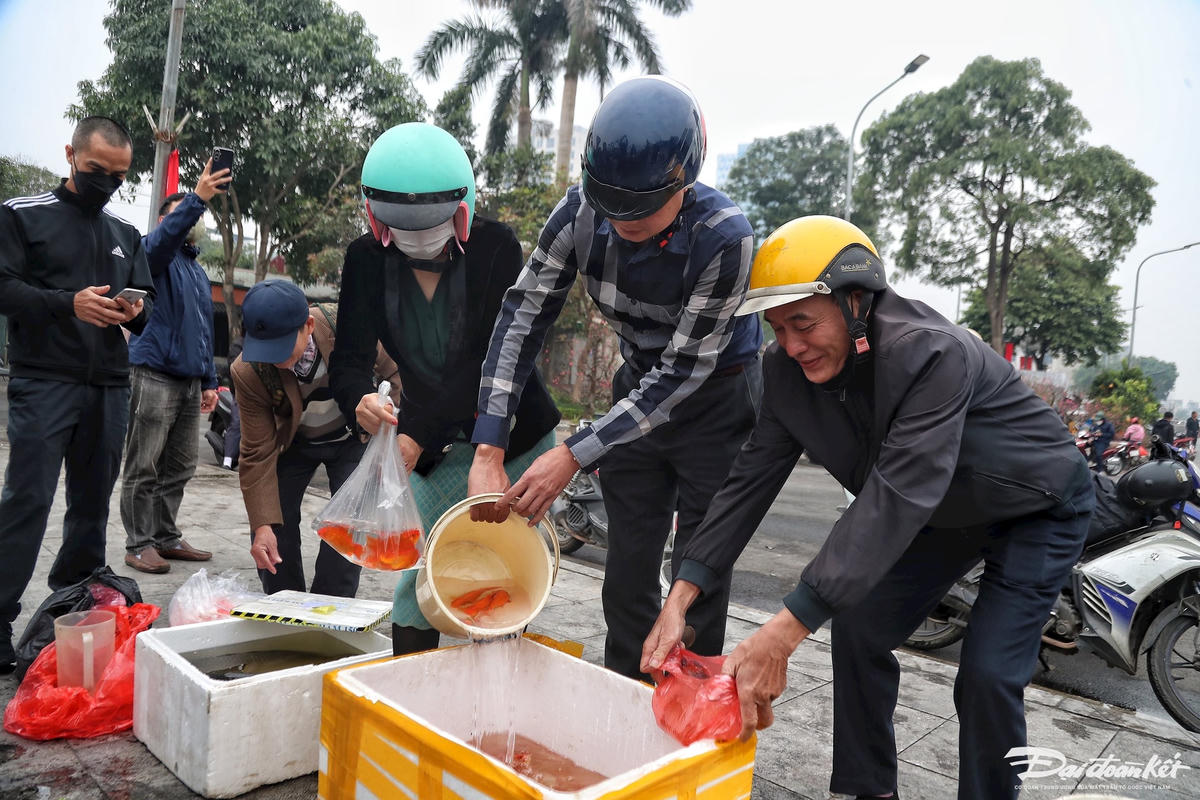 ca_chep_vang-le-khanh8(1).jpg