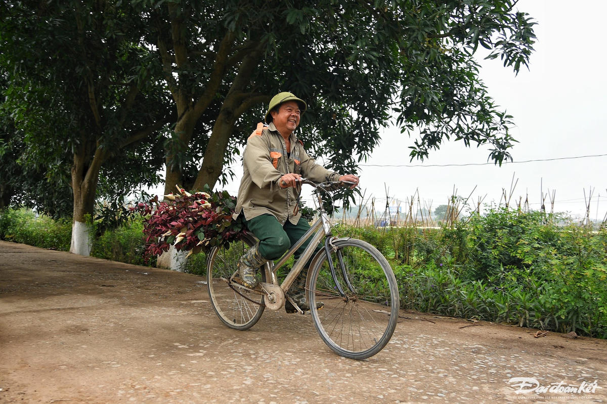 W_hoa_hong-le-khanh10.jpg