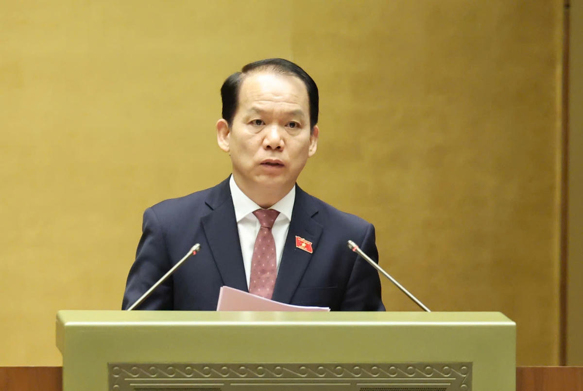tung11-6.jpg