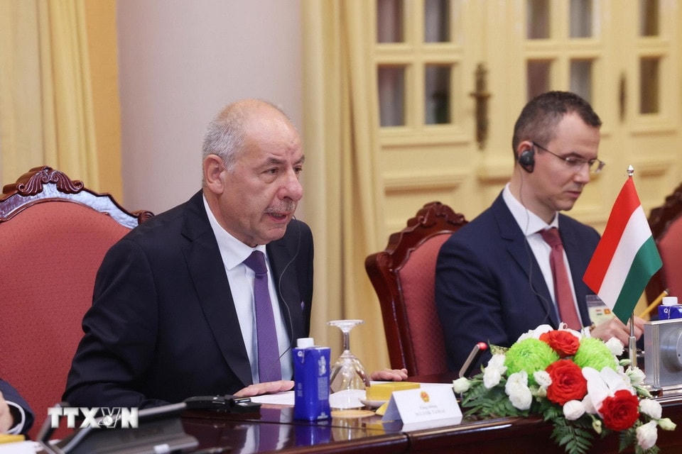 Tổng thống Hungary Sulyok Tamas phát biểu tại hội đàm. (Ảnh: Lâm Khánh/TTXVN)