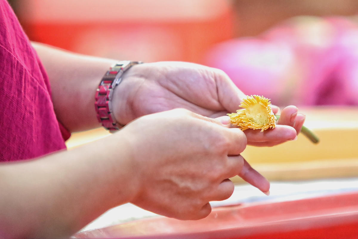 Mỗi lớp trà sẽ được rải một lớp gạo sen, công đoạn này được thực hiện khẩn trương và song trước 10 giờ để đạt hiệu quả tốt nhất cho trà sen. 