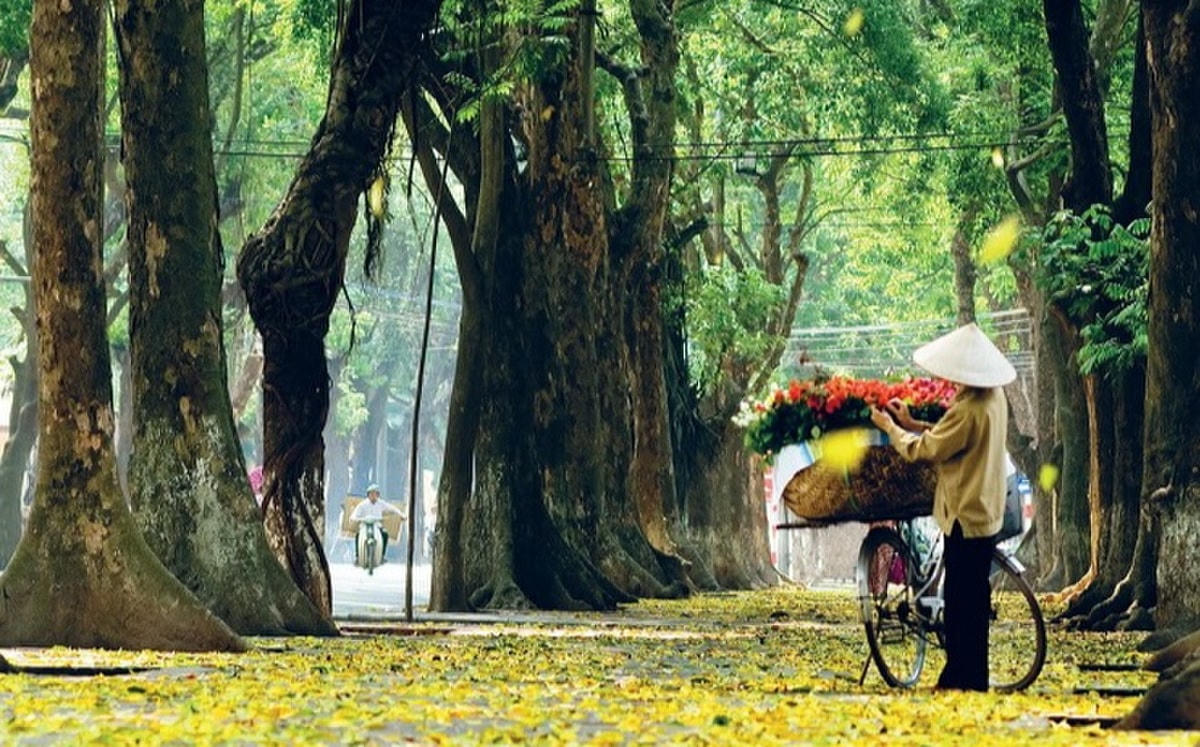 Mùa thu Hà Nội.
