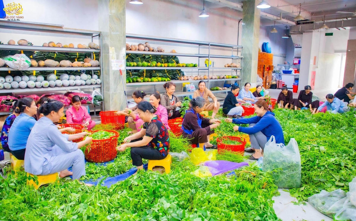 Khóa tu mùa hè - nơi các em tập sống tích cực, hướng thiện