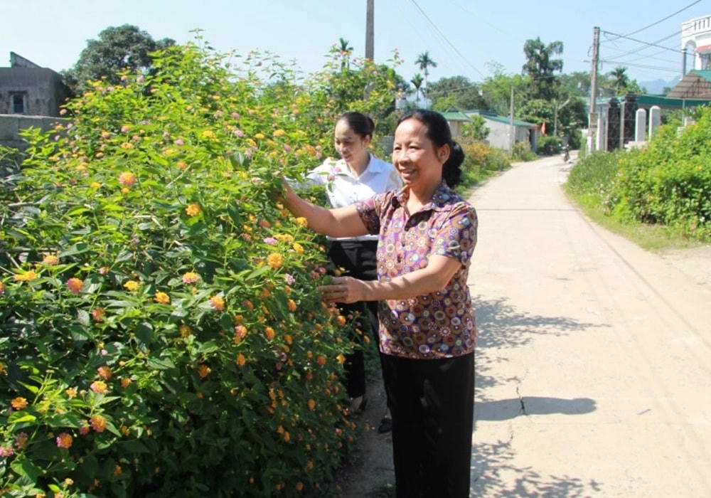 Mô hình "Đoạn đường phụ nữ nở hoa" tại thị trấn Mãn Đức (huyện Tân Lạc, tỉnh Hòa Bình) được Chi hội Phụ nữ khu 6 duy trì, nhân rộng. Ảnh: Quỳnh Lâm.