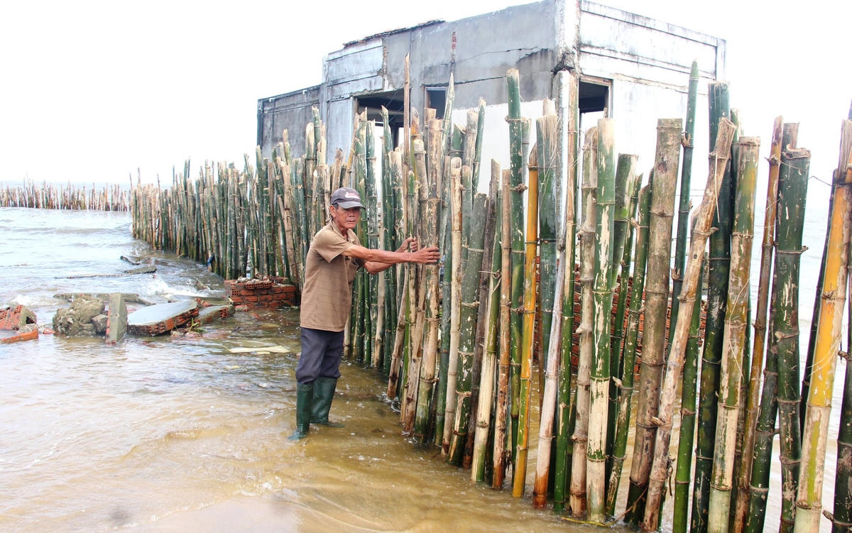 Người dân đóng cọc tre nhằm hạn chế sóng biển.