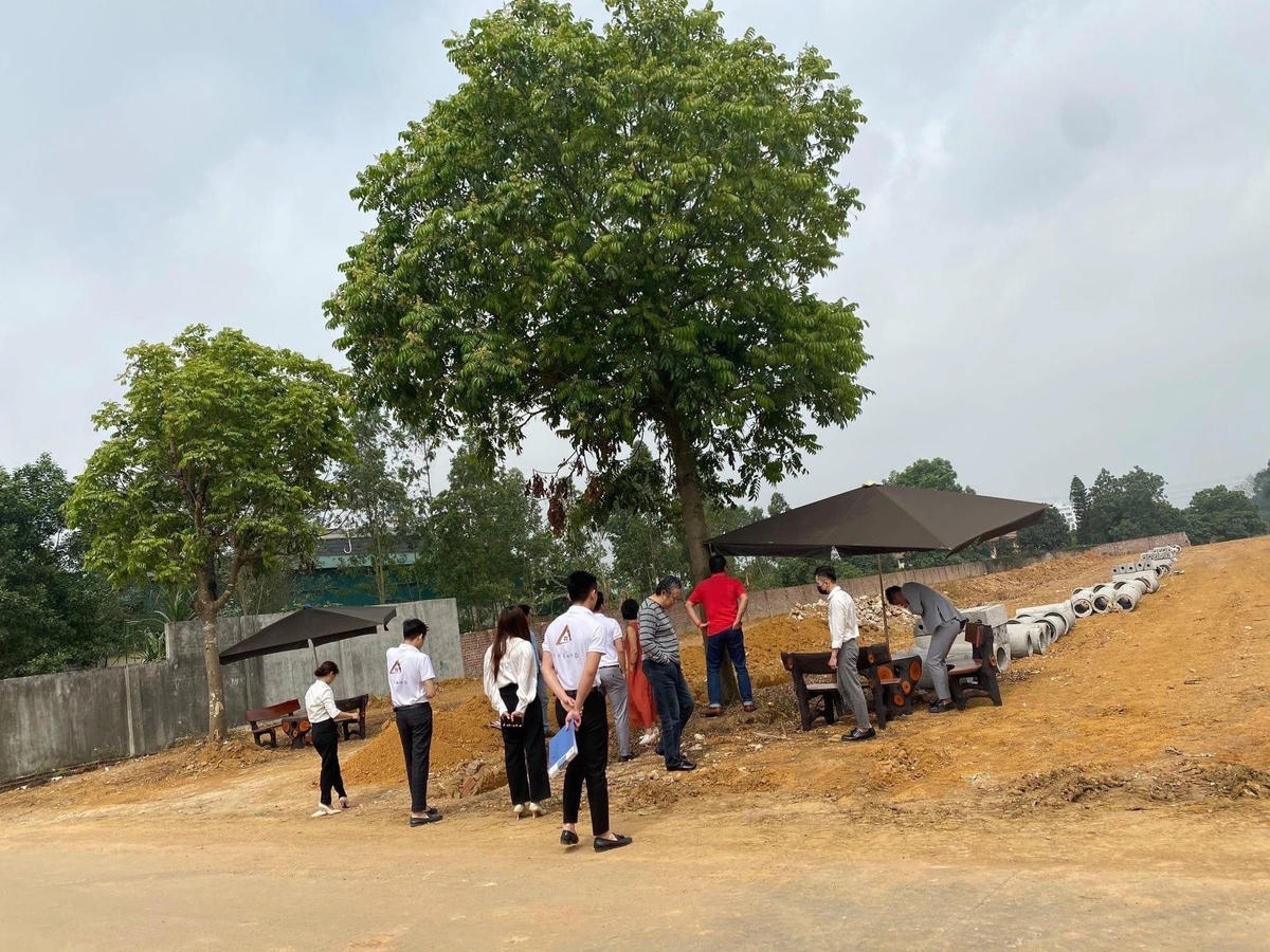 Nhiều nhà đầu tư bất động sản khó khăn trong việc “thoát hàng”, cắt lỗ.