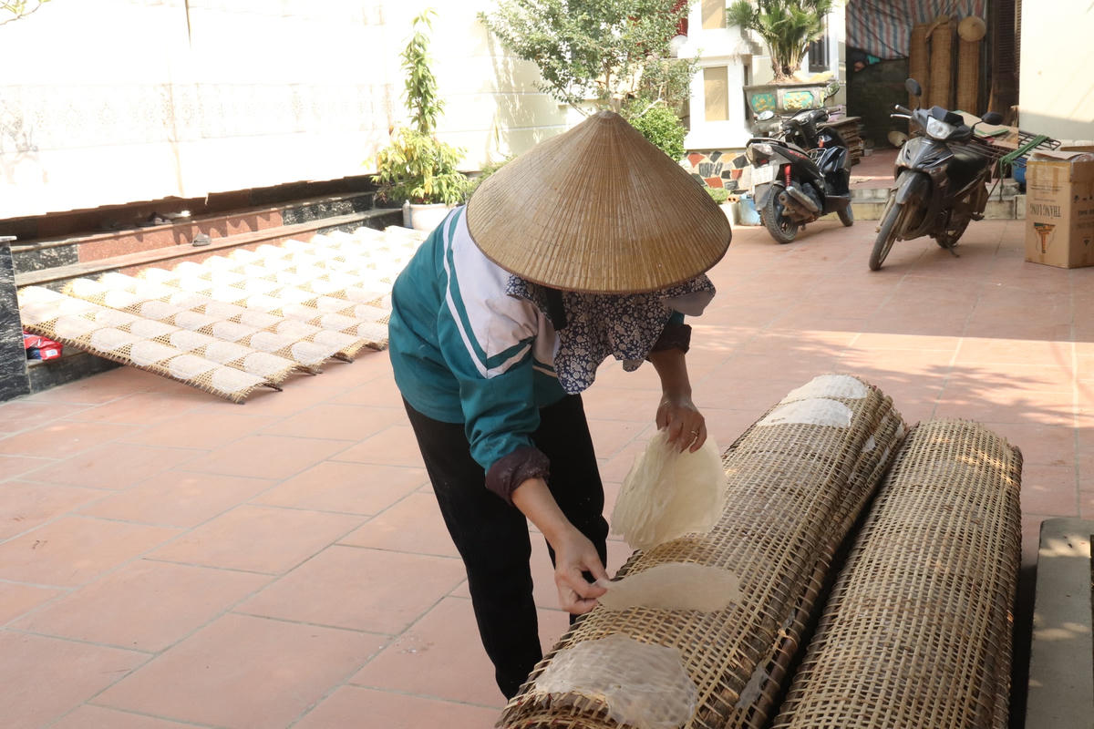 "Ở đây, năm nào Tết cũng như đến trước cả tháng, nhộn nhịp cả ngày lẫn đêm để làm hàng. Vào dịp giáp Tết cổ truyền đơn hàng nhiều hơn nên đòi hỏi các hộ dân làm nghề phải khẩn trương sản xuất để có đủ bánh đa nem phục vụ nhu cầu thị trường", chị Nguyên nói.  