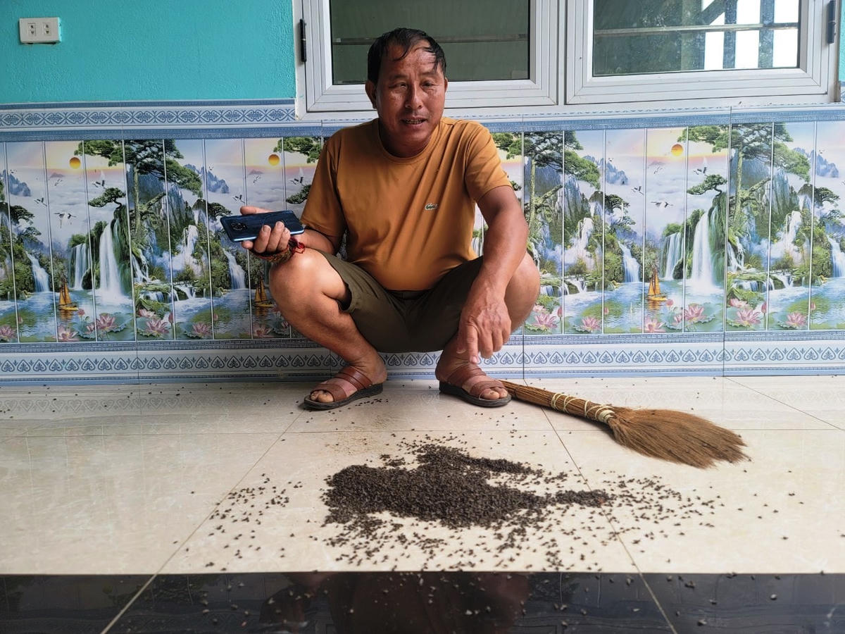 “Ruồi không chỉ làm đảo lộn cuộc sống thường nhật của bà con mà còn tấn công cả bầy gia súc, gia cầm!”
