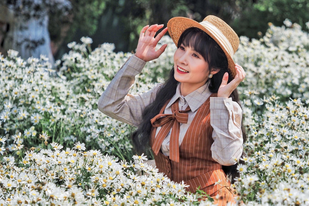 Chị Nguyễn Thương, trú tại Thanh Xuân, Hà Nội chia sẻ, ngay sau khi xem được hình ảnh của một số nhà vườn đăng tải trên mạng, chị đã ngay lập tức chuẩn bị quần áo để cuối tuần đi chụp ảnh với hoa cúc hoạ mi.