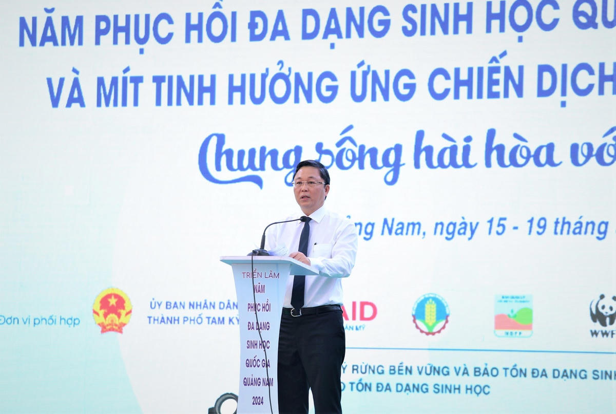 trien-lam-1-e6d9488896bf83d06913d2629b4c0884.jpg