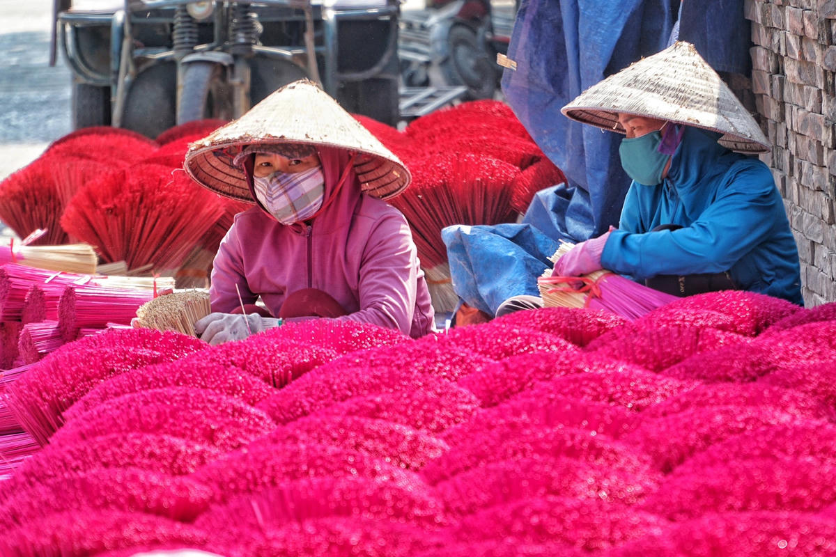 Tăm hương được đem đi phơi khô dưới ánh nắng mặt trời rồi vận chuyển đến nơi sản xuất hương.