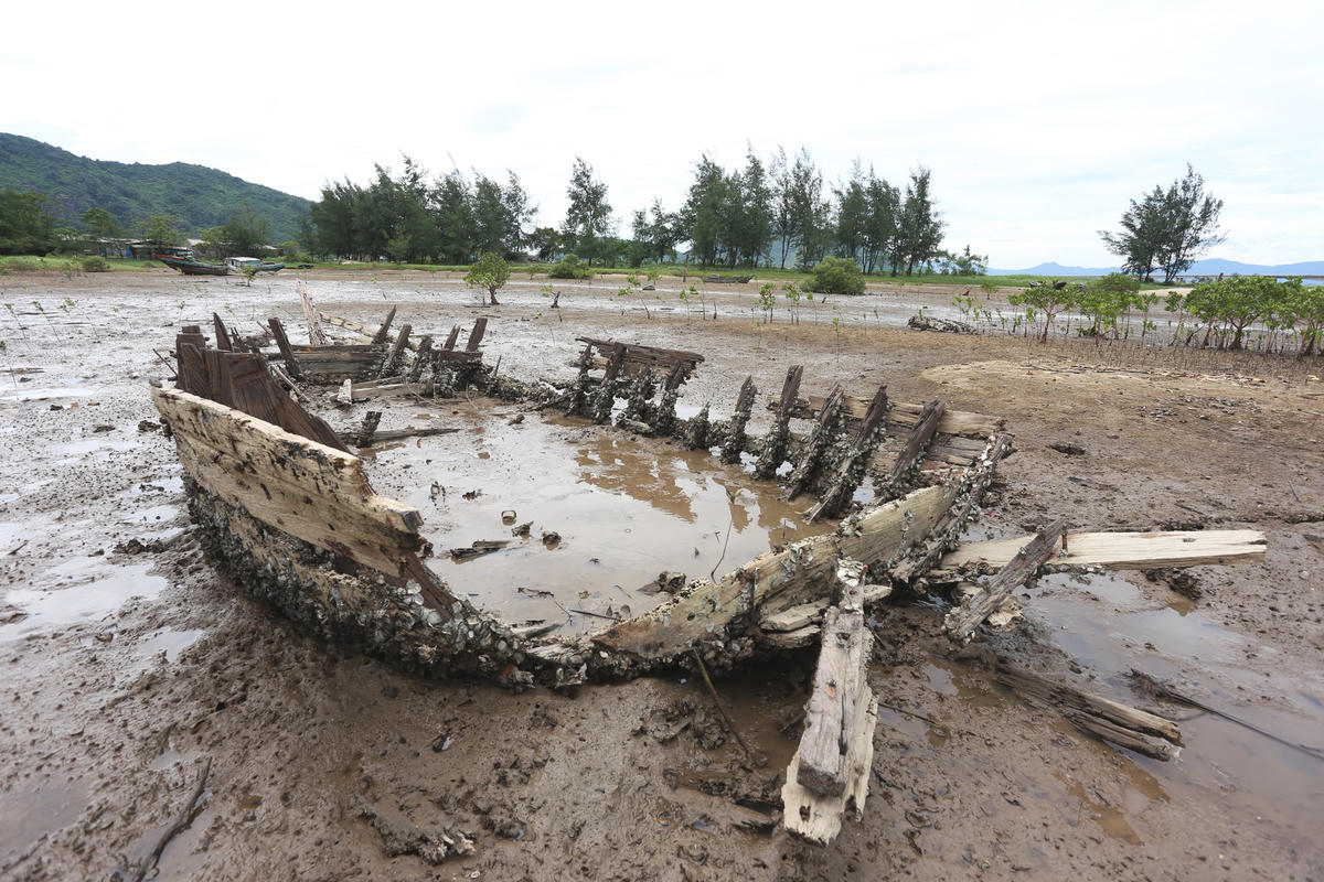 Sau thời gian không sử dụng, các tàu mục nát, chôn vùi dưới lớp bùn, cát, hàu bám chặt.