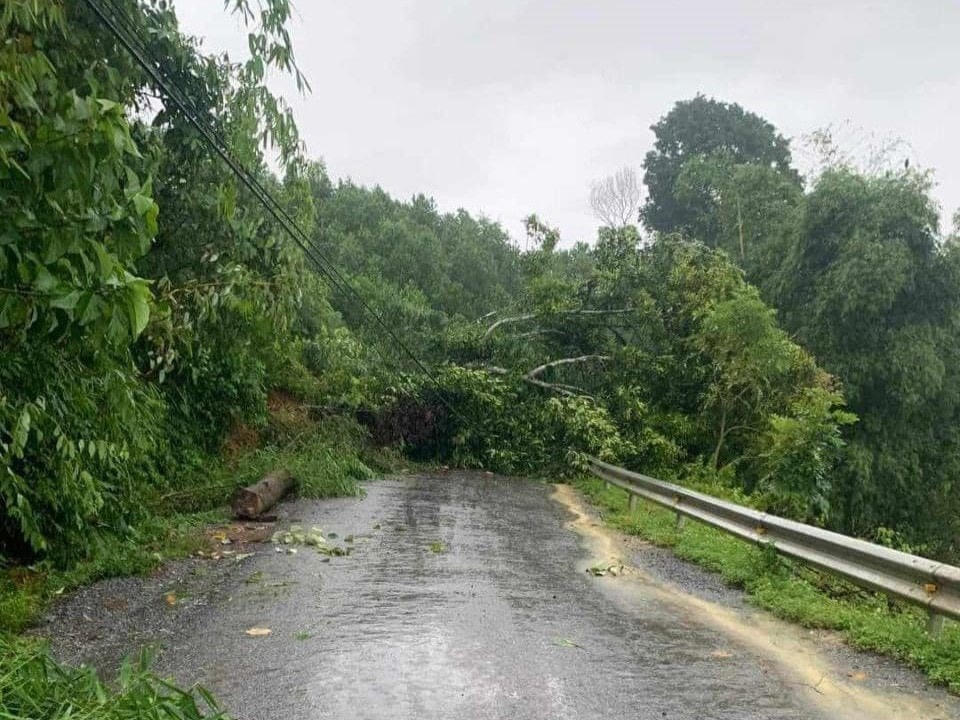 Trong ảnh là 2 tuyến đường giao thông thuộc các huyện Như Xuân và Thường Xuân bị ách tắc do cây cối gãy đổ, chắn ngang mặt đường.