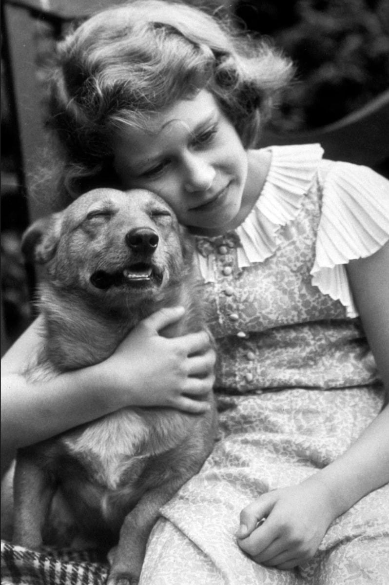 Công chúa Elizabeth bên cạnh một chú chó corgis.