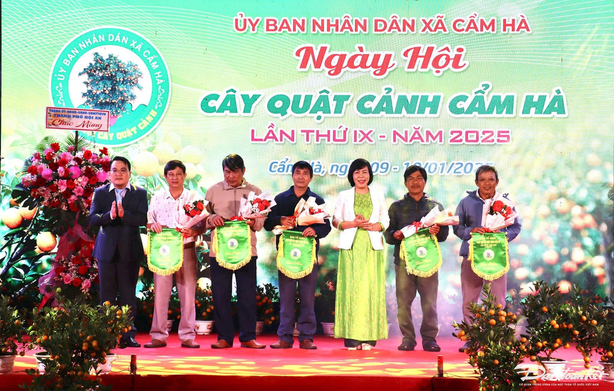 NGAY HOI 6