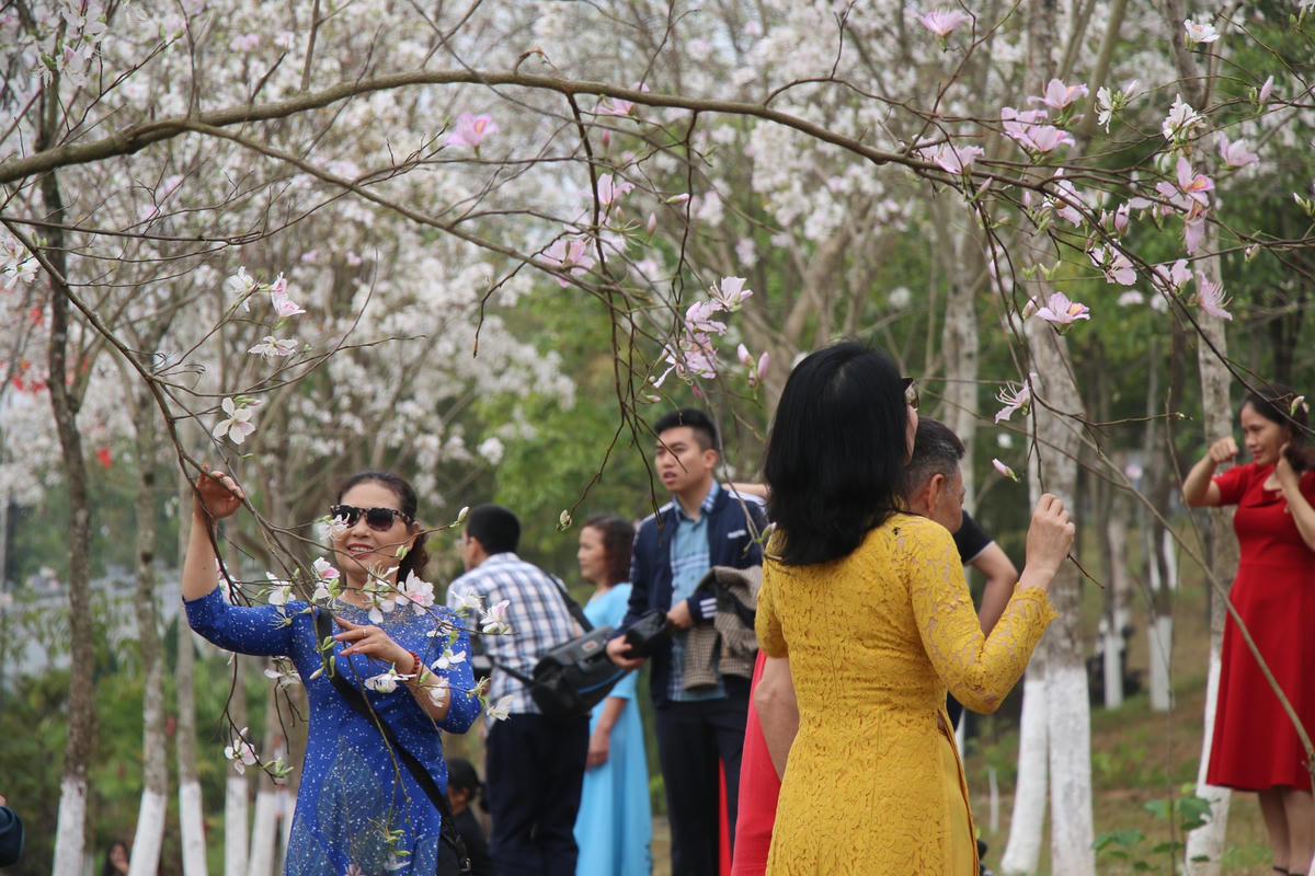 Việc tổ chức Lễ hội mùa hoa ban là dịp để bà con các dân tộc trong và ngoài tỉnh đến gặp gỡ, giao lưu, đoàn kết, gắn bó với nhau.