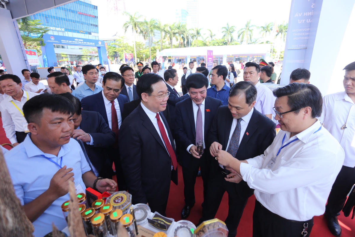 Đại biểu tham quan các gian trưng bày sản phẩm tiêu biểu của Hà Tĩnh.