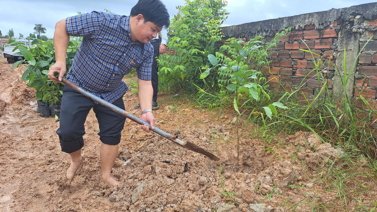 Hình ảnh hoạt động trồng rừng tại ấp Bún Gọi, xã Cửa Dương.