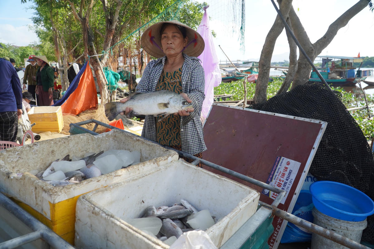 Các hộ nuôi cố gắng vớt cá, cấp đông để bán nhằm vớt vát lại chút vốn.