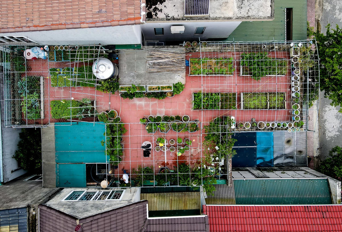 Khu vườn xanh mướt gần 100 m2 của chị Thuận nhìn từ trên cao. 