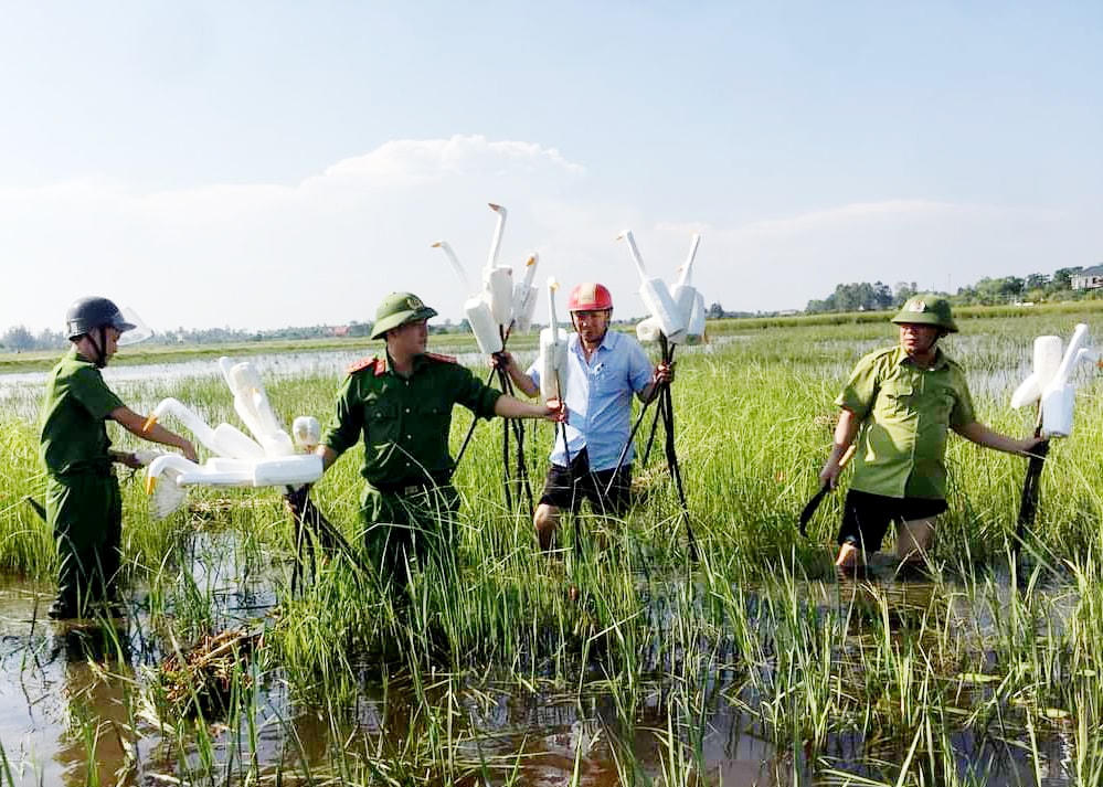 Những con cò giả được làm bằng xốp khiến cho đàn chim di trú tưởng là đồng loại nên sà xuống và bị mắc bẫy