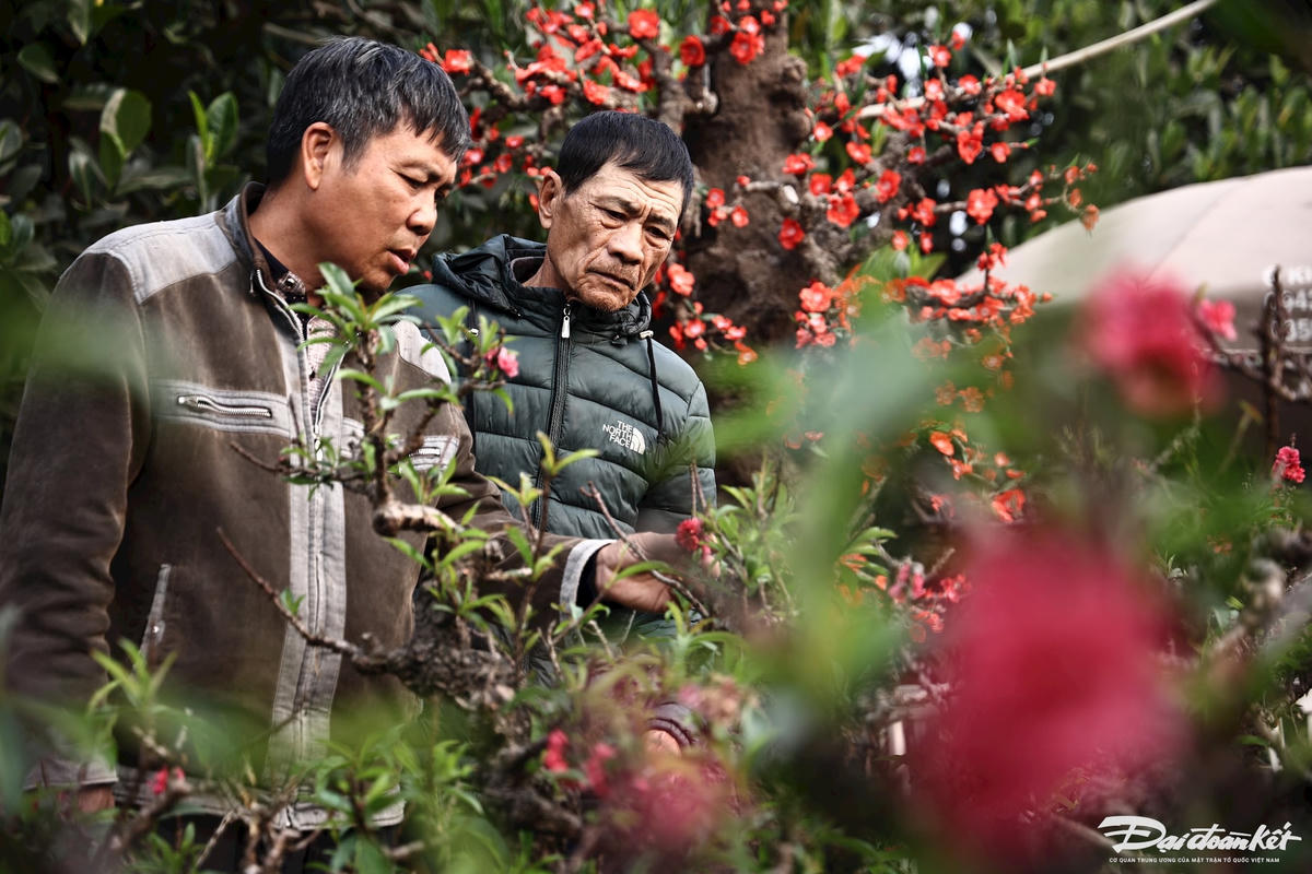 dao_that_thon-le-khanh10.jpg