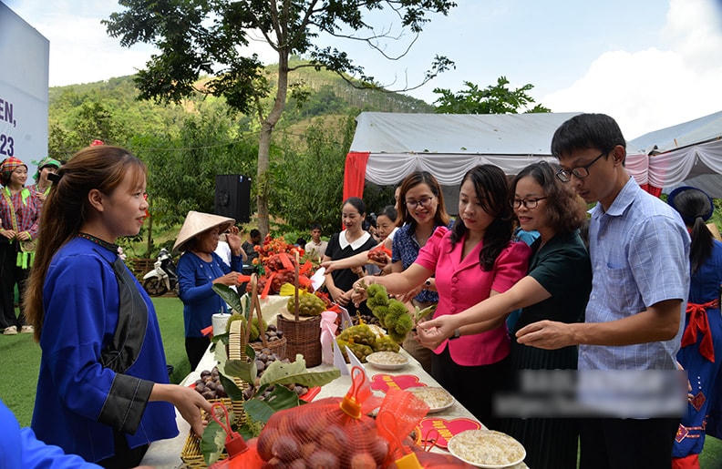 Hạt dẻ tươi xã Quảng Lạc là một trong những sản phẩm đạt tiêu chuẩn Ocop của TP Lạng Sơn năm 2021. (Nguồn: Báo Lạng Sơn)