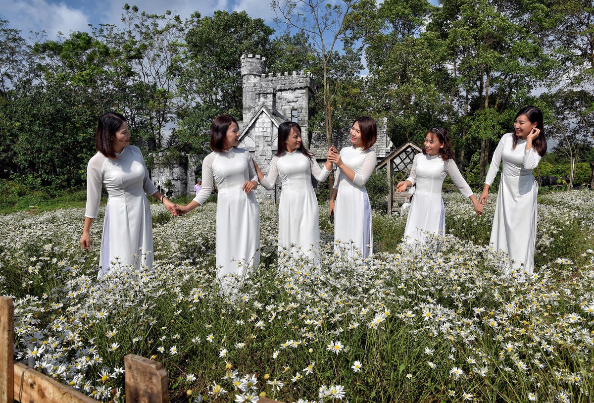 Nhiều cô gái xúng xính chiếc áo dài bên vườn hoa cúc họa mi chụp những bức ảnh đẹp nhất lưu giữ kỷ niệm.